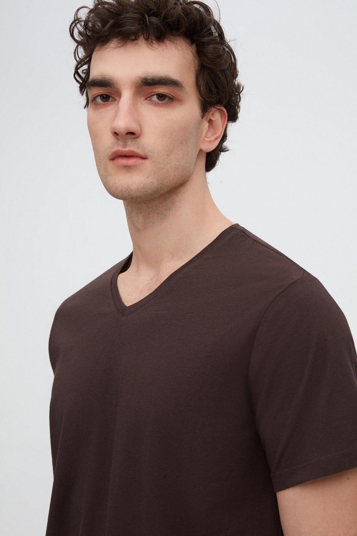 Ds Damat Slim Fit V-Neck 100% Cotton T-Shirt - Brown