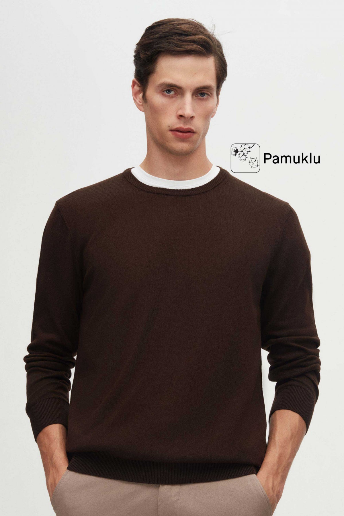 Ds Damat Regular Fit Anti-Pilling Crew Neck Knit Sweater  - Brown